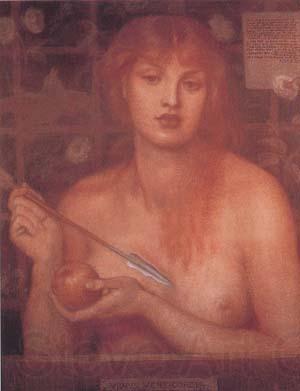Dante Gabriel Rossetti Study for Venus Verticordia (mk28) Germany oil painting art
